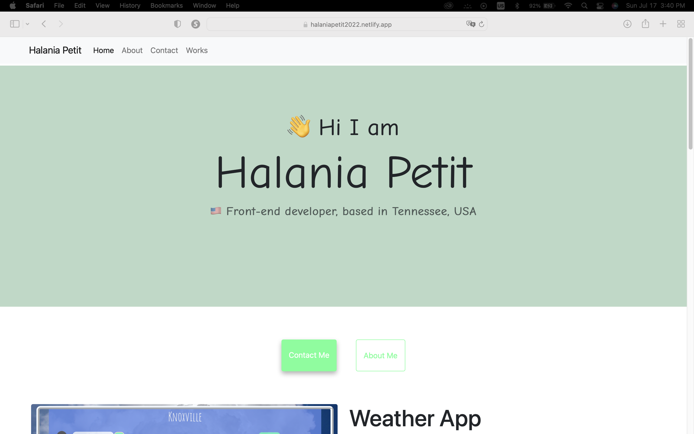 photo of the home page of this website.